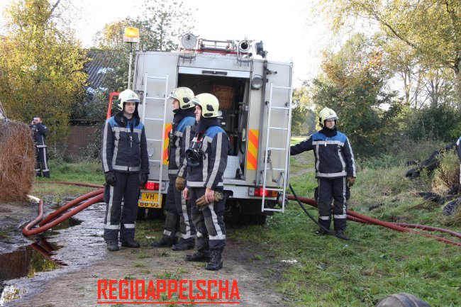 Regio Appelscha